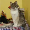 Отзыв от София Ларионова